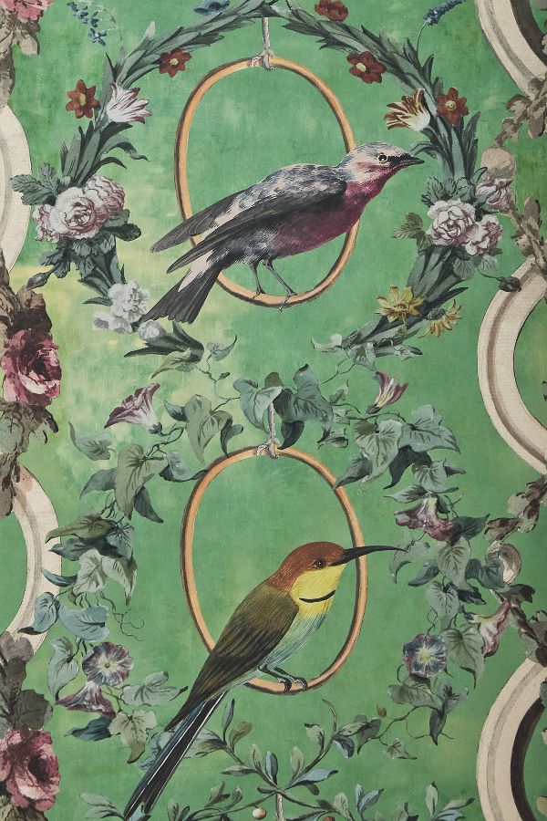 Slide View: 3: Countesse's Aviarium Wallpaper