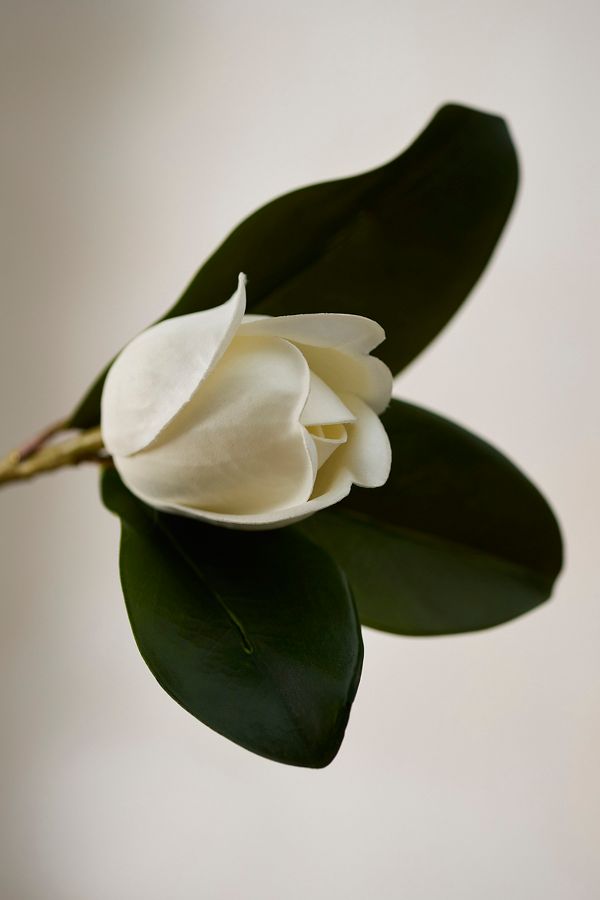 Slide View: 2: Faux Leafy Magnolia Spray