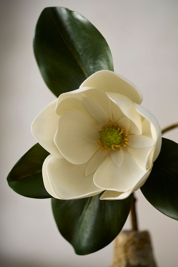 Slide View: 3: Faux Leafy Magnolia Spray