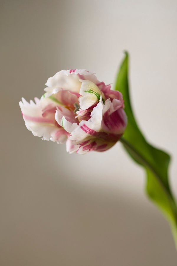 Slide View: 2: Faux Ruffled Tulip Stem