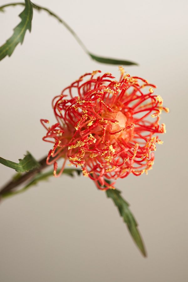 Slide View: 2: Faux Protea Spray