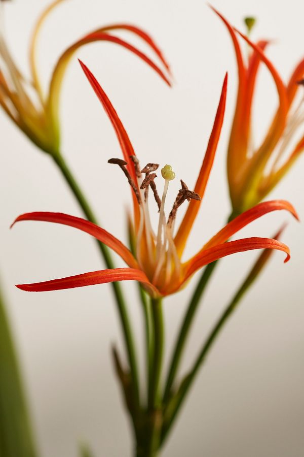 Slide View: 3: Faux Lily Bush Spray