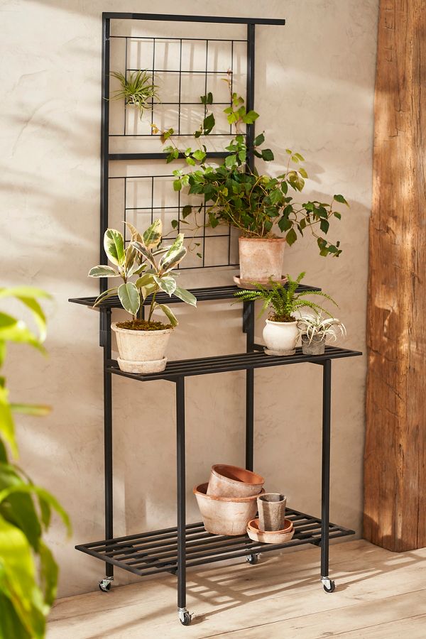 Slide View: 1: Rolling Iron Shelf Plant Stand