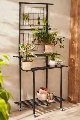 Rolling Iron Shelf Plant Stand