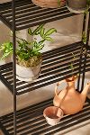 Thumbnail View 2: Folding Bookshelf Plant Stand