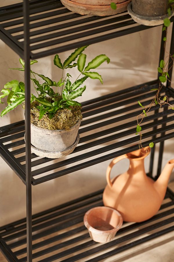 Slide View: 2: Folding Bookshelf Plant Stand