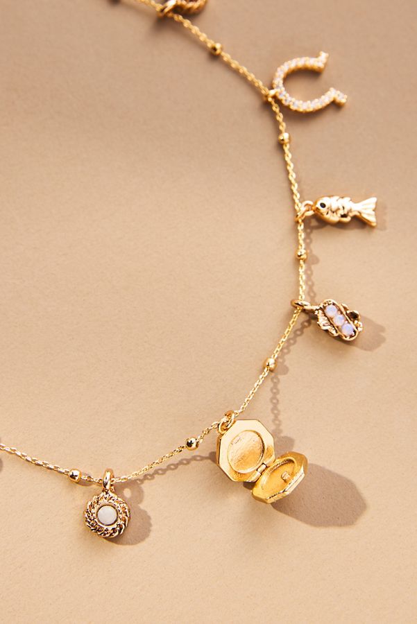 Slide View: 4: Good Fortune Charm Necklace