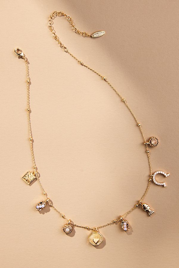 Slide View: 2: Good Fortune Charm Necklace