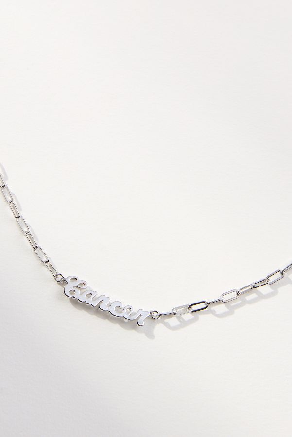 Slide View: 3: Zodiac Silver Necklace