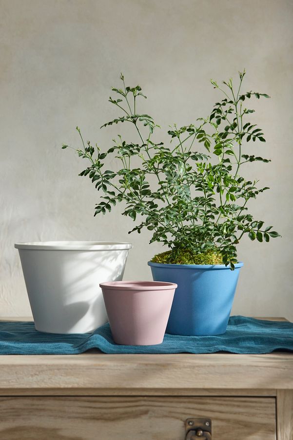 Slide View: 1: Eliza Ceramic Planter