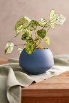 Thumbnail View 1: Milo Ceramic Planter