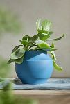 Thumbnail View 1: Nia Ceramic Planter