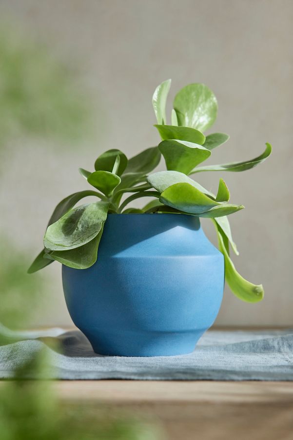 Slide View: 1: Nia Ceramic Planter