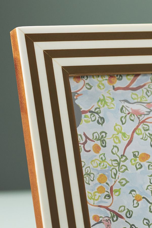 Slide View: 3: Striped Resin Frame