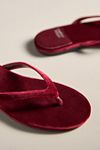 Thumbnail View 3: Jeffrey Campbell Kierra Velvet Thong Sandals