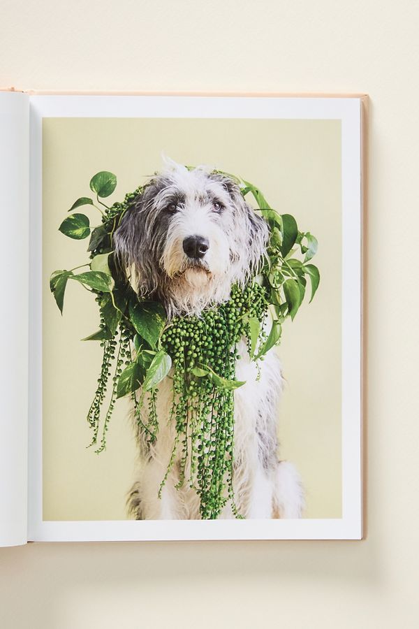 Slide View: 2: Cone of Shame Dog Hardcover Book