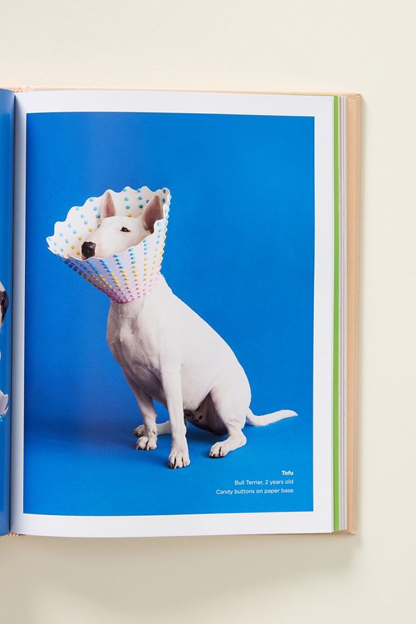 Slide View: 3: Cone of Shame Dog Hardcover Book