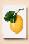 Thumbnail View 1: The Gourmand's Lemon: A Collection of Stories and Recipes