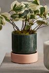 Thumbnail View 1: Footed Marble Cylinder Planter