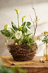 Thumbnail View 1: Botanical Nest Basket