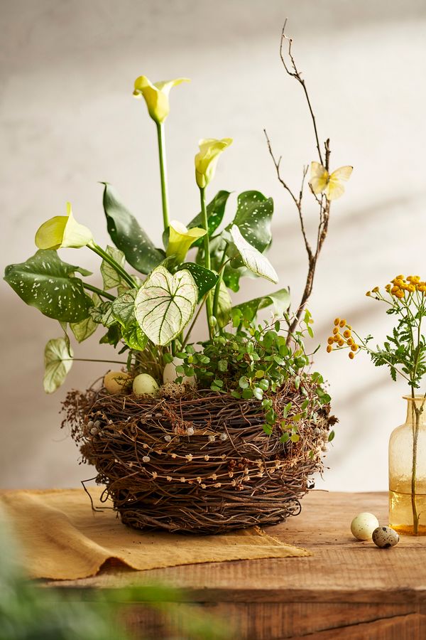 Slide View: 1: Botanical Nest Basket