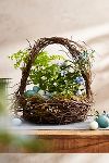 Thumbnail View 1: Botanical Arch Handle Basket