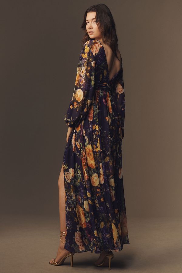 Slide View: 2: BHLDN Mae Long-Sleeve V-Neck Chiffon Maxi Dress