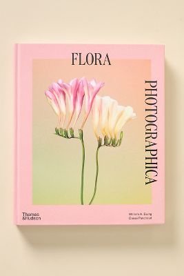 Flora Photographica: The Flower in Contemporary Photography