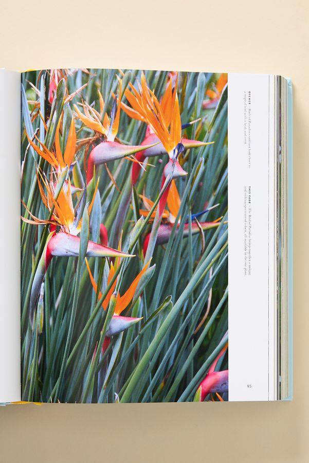 Slide View: 2: Super Bloom: A Field Guide to Flowers for Every Gardener Coffee Table Book