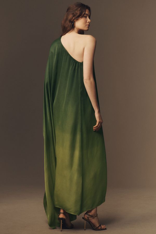 Slide View: 2: Diarrablu Satu Long-Sleeve One-Shoulder Maxi Dress