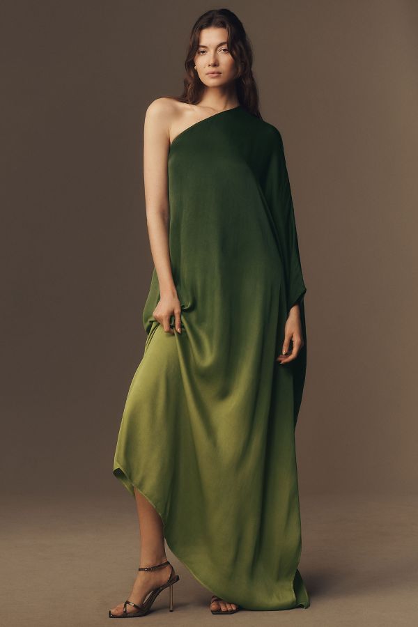 Slide View: 1: Diarrablu Satu Long-Sleeve One-Shoulder Maxi Dress