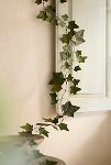 Thumbnail View 1: Ivy Leaves Iron Garland