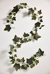 Thumbnail View 3: Ivy Leaves Iron Garland