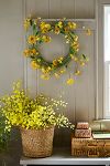 Thumbnail View 1: Strawflower Iron Wreath