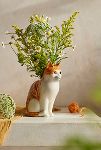 Thumbnail View 1: Quail Ceramics Orange Cat Vase