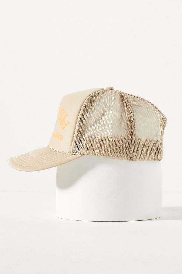 Slide View: 3: Ascot + Hart Born to Ski Trucker Hat