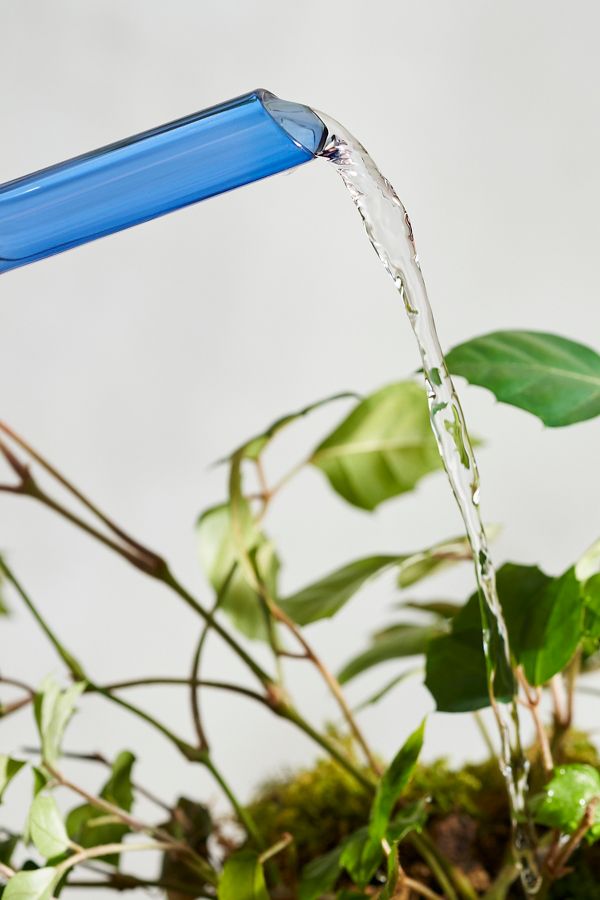 Slide View: 2: Addie Glass Watering Can, Blue