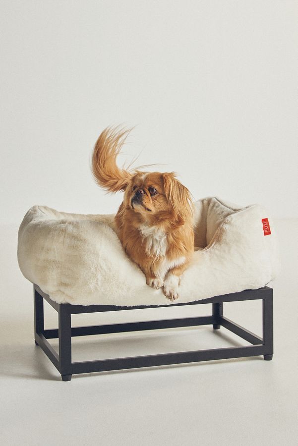 Slide View: 1: FÜZI Luxe Elevated Dog Bed