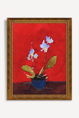 Orchid on Red Background Wall Art