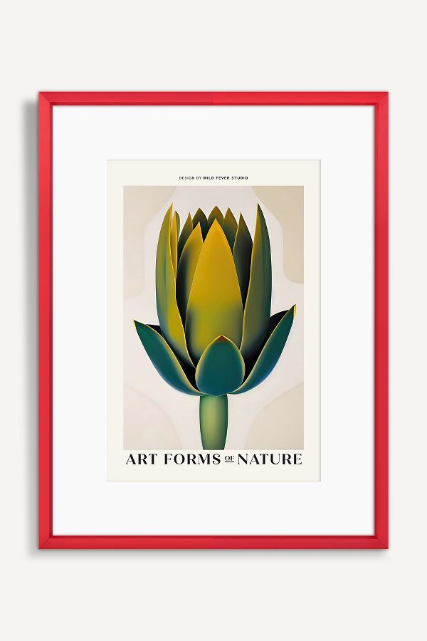 Slide View: 1: Art Forms of Nature Wall Art