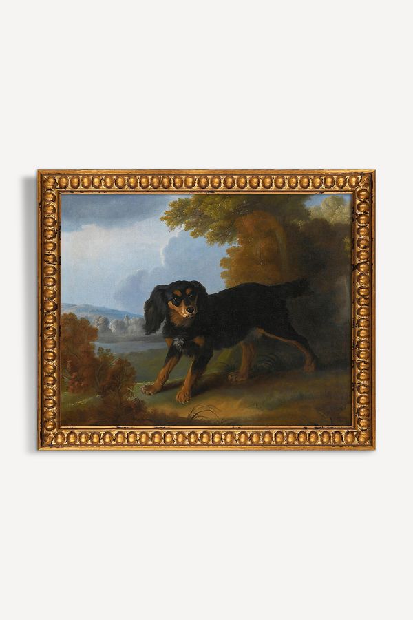 Slide View: 1: King Charles Spaniel Dog Portrait Wall Art