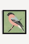 Thumbnail View 1: Bullfinch Wall Art