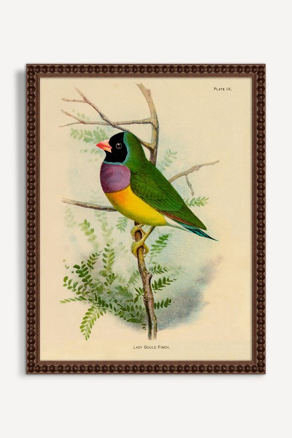 Slide View: 1: Bird Wall Art