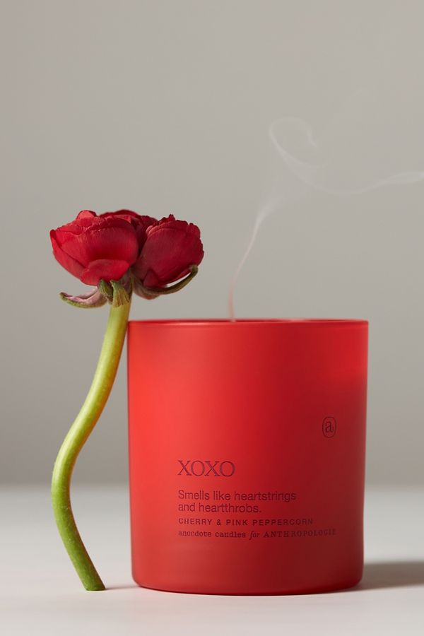 Slide View: 1: Anecdote XOXO Cherry & Pink Peppercorn Glass Candle