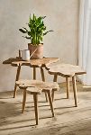 Thumbnail View 3: Teak Root Slice Nesting Tables, Set of 3