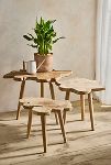 Thumbnail View 1: Teak Root Slice Nesting Tables, Set of 3