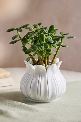 Marble Lotus Planter