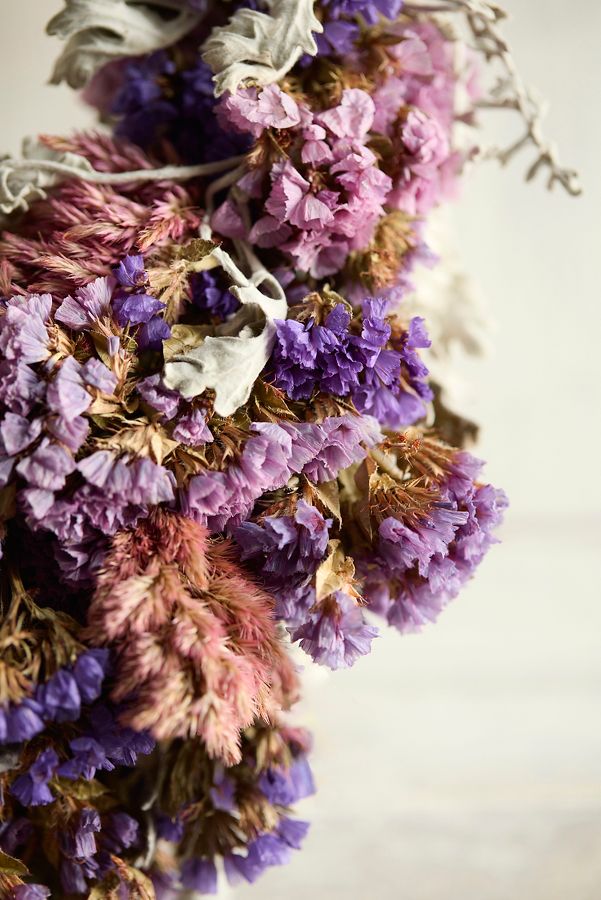 Slide View: 2: Fernwood Flower Farm Dried Wreath, Bright