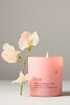 Thumbnail View 1: Anecdote Love Rosewater & Sea Salt Glass Candle