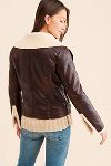 Thumbnail View 2: Bernardo Chocolate Moto Jacket